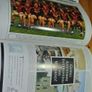 Hogan Stand - 1995 - G.A.A. Annual (GAA) Image 4
