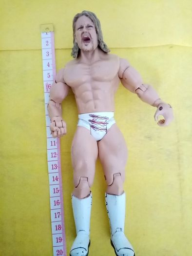 Wrestlers WWE action Figure