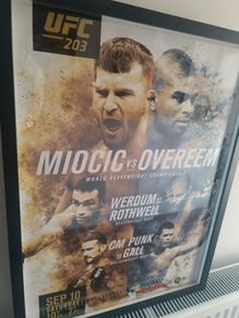 ufc 203 poster