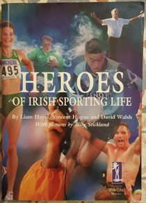 Heroes Of Irish Sporting Life by Liam Hayes, Vincent Hogan and David Walsh