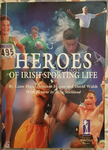 Heroes Of Irish Sporting Life by Liam Hayes, Vincent Hogan and David Walsh