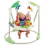 Fisher Price Rainforest Jumperoo Image 3