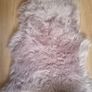 Rugs Image 3