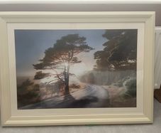 Framed picture