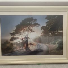 Framed picture