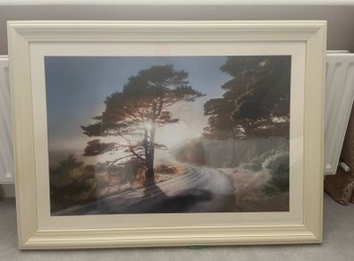 Framed picture