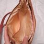 Liberty by Gionni Pink Floral Crossbody Bag Real Leather Trim Image 8