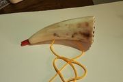 Ox horn