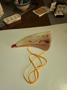 Ox horn