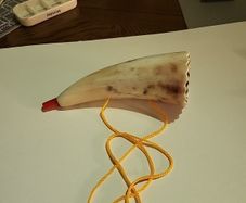 Ox horn