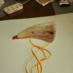 Ox horn