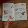 animal books Image 4