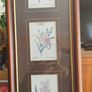 VTG BOMBAY COMPANY Framed Trio Floral Botanical Wall Art Prints Image 10