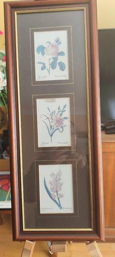 VTG BOMBAY COMPANY Framed Trio Floral Botanical Wall Art Prints