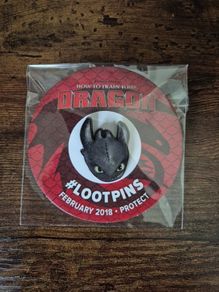 How To Train Your Dragon Toothless Pin