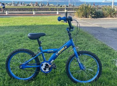 Boys Bike 4+