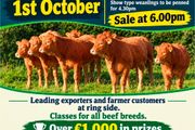 Macroom Mart suckler bred weanling Show and Sale
