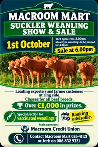 Macroom Mart suckler bred weanling Show and Sale
