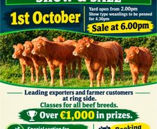 Macroom Mart suckler bred weanling Show and Sale