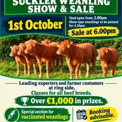 Macroom Mart suckler bred weanling Show and Sale
