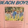 The Beach Boys. Image 5