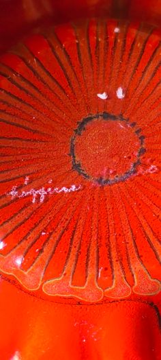 Handmade Poppy-Shaped Plate - Floral Design Glass Dish as Trinklet dish signed
