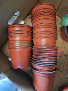 Bundle of Plastic Flower Pots