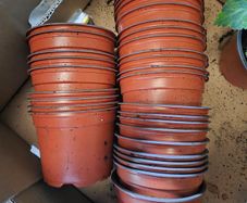 Bundle of Plastic Flower Pots