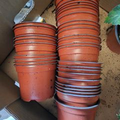 Bundle of Plastic Flower Pots