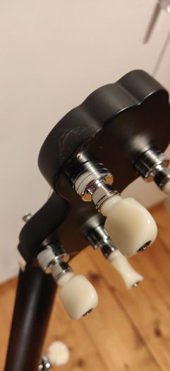 Pilgrim Five String Banjo