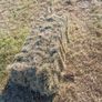 Small Bales of Hay Image 5
