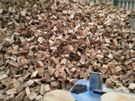 Kiln-Dried Logs 160 Euro 086.8368816 Image 2