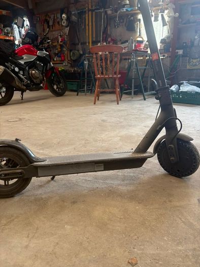 scooter