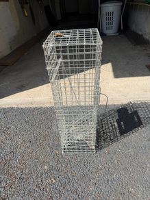 Rodent Trap