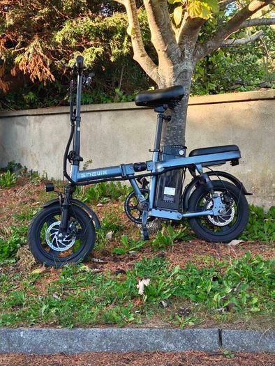 Electric bike