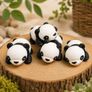 Mini Panda Image 2