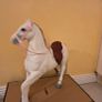 Horse White Our Generation, Image 3
