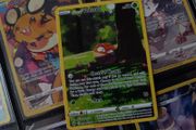 Hisuian Voltorb ! Illustration Rare ! from Crown Zenith Set ! 2023 ! Pokemon Card !