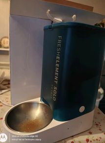 automatic cat feeder
