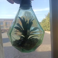 Glass plant ornament
