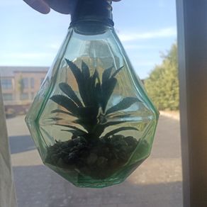 Glass plant ornament