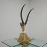 Taxidermy Study of Gazelle With Antlers by Anthony Redmile, London, 1970s. Image 2