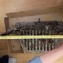 Edwardian Brass hood and parts Image 6