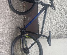 Carrera hellcat 29"