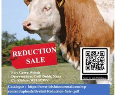 Reduction sale