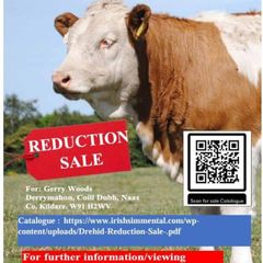 Reduction sale