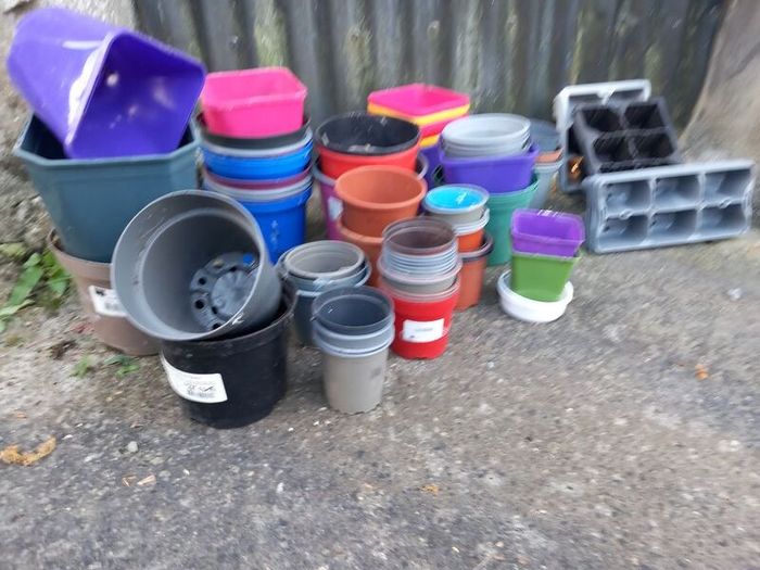 plant pots