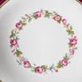 Antique Victorian Royal Worcester  Dessert Set Image 5