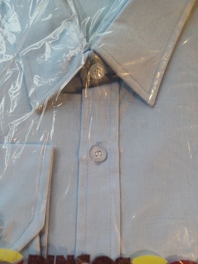 Dingos Shirt