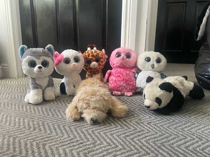 Beanie Boo's